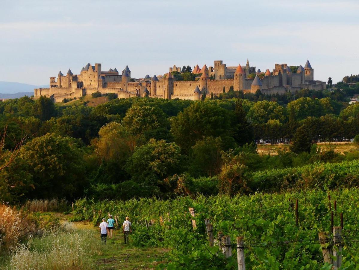 La Maison Des Chapeliers Carcassonne Zewnętrze zdjęcie